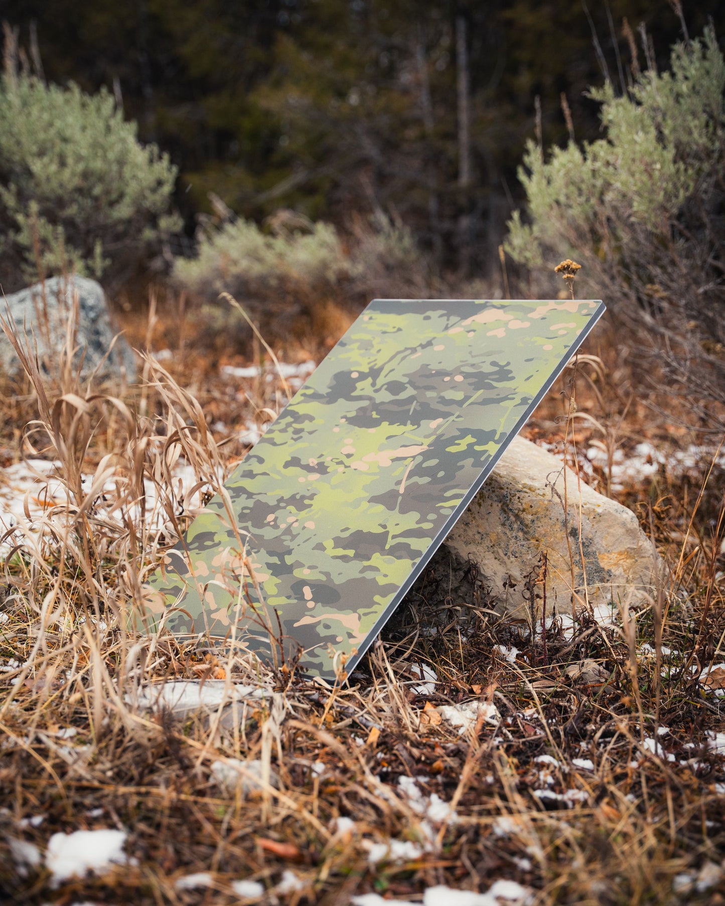 STARLINK ROAM STANDARD